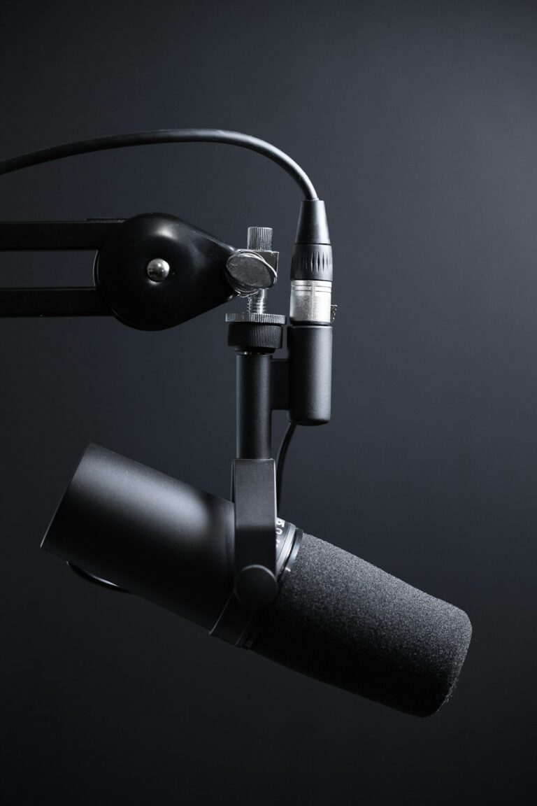 Professional studio condenser microphone and pop filter for voiceover production